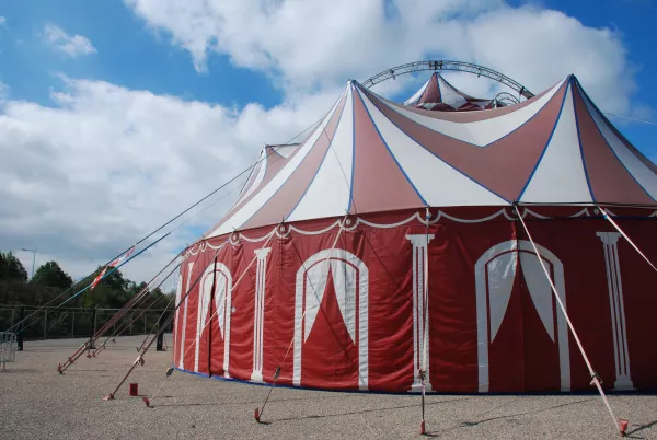 Formation du spectacle Lille 